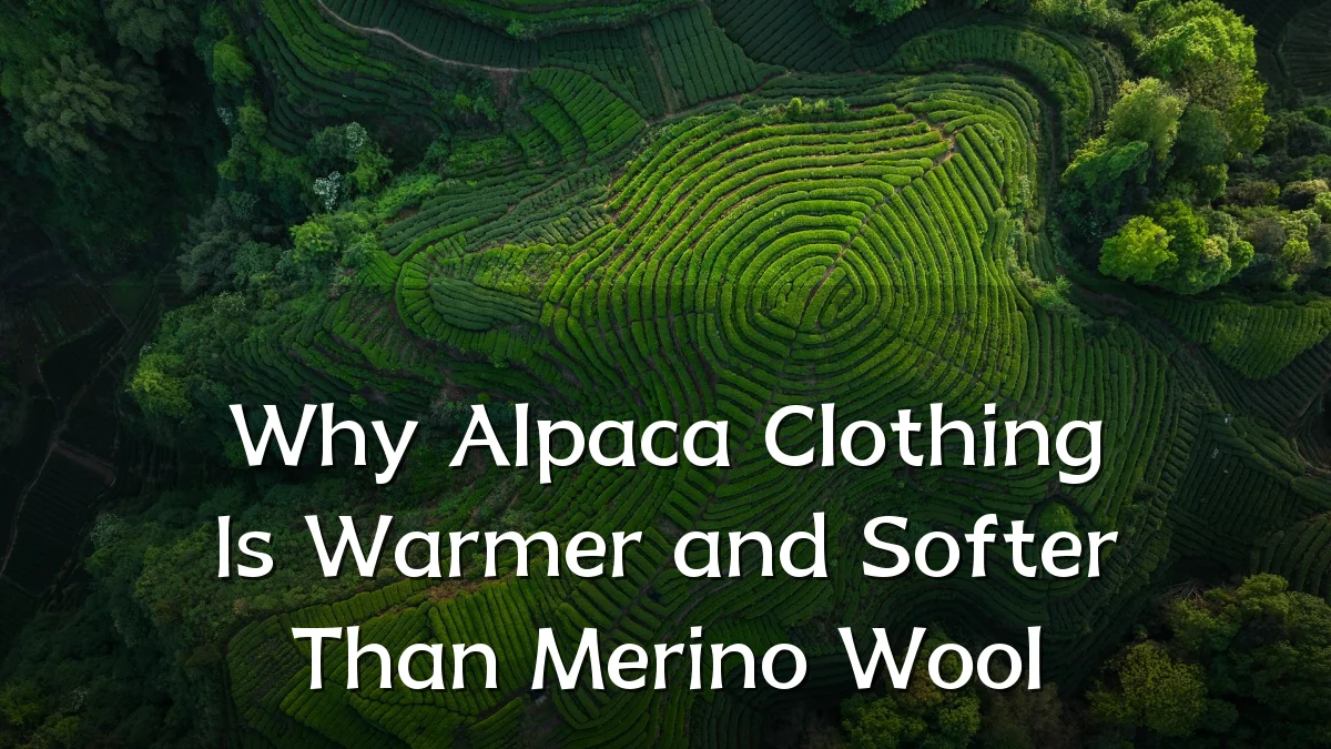 Why Alpaca Clothing Is Warmer and Softer Than Merino Wool