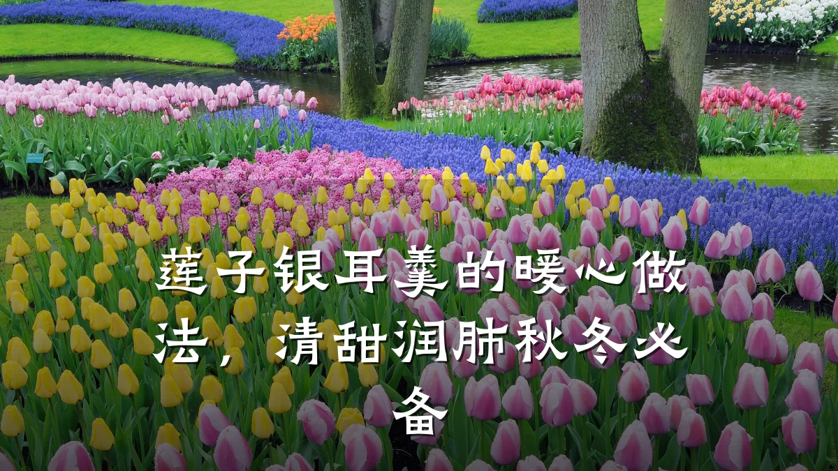 莲子银耳羹的暖心做法,清甜润肺秋冬必备