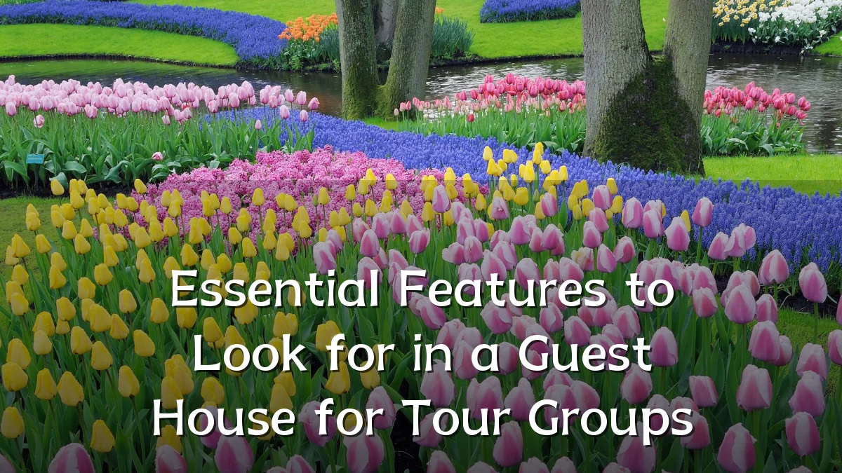 Essential Features to Look for in a Guest House for Tour Groups