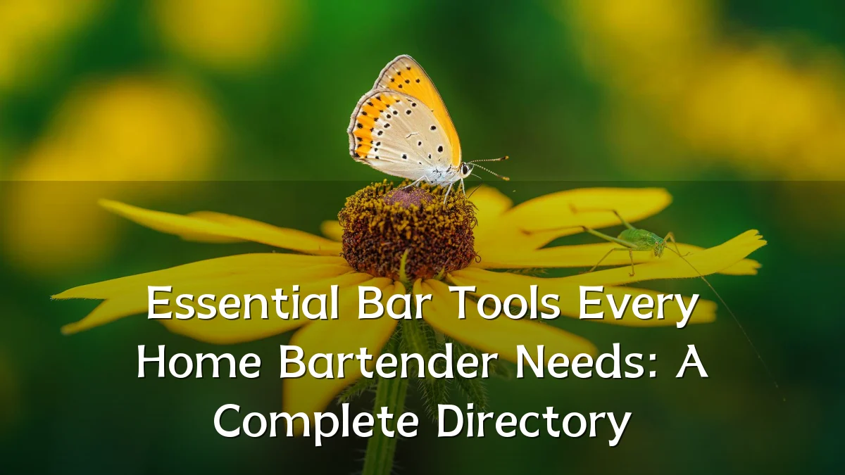 Essential Bar Tools Every Home Bartender Needs: A Complete Directory