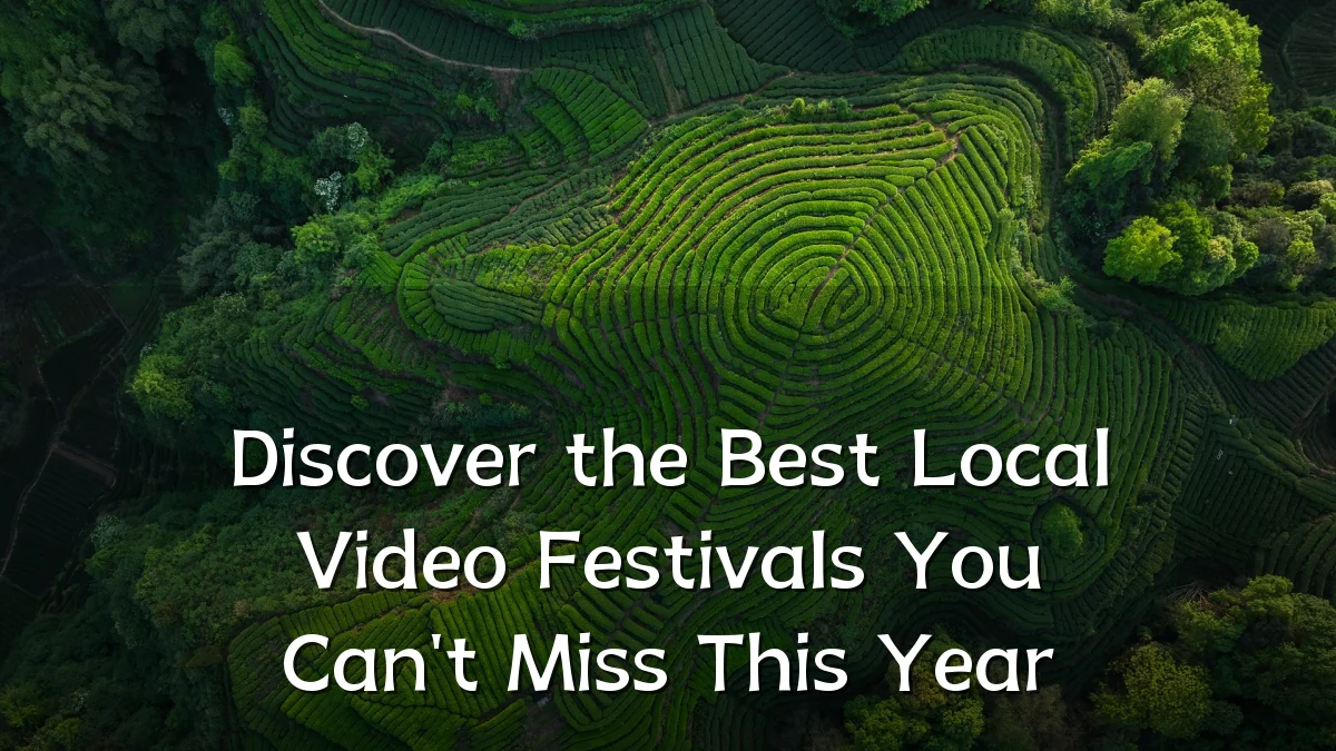 Discover the Best Local Video Festivals You Can't Miss This Year