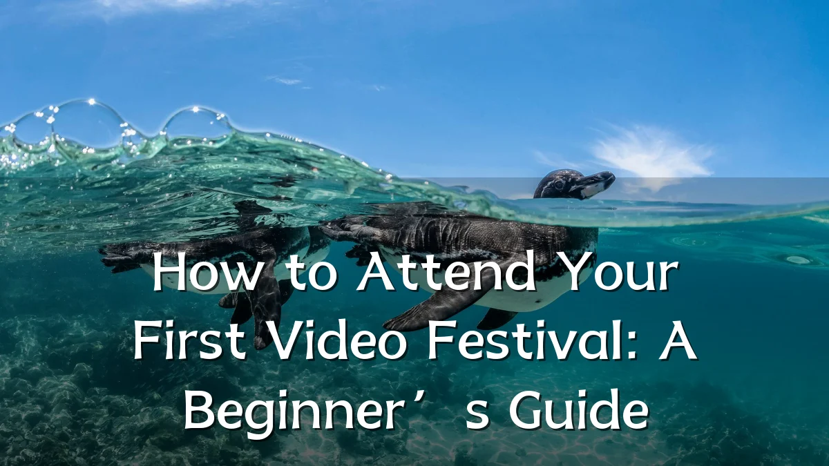 How to Attend Your First Video Festival: A Beginner’s Guide