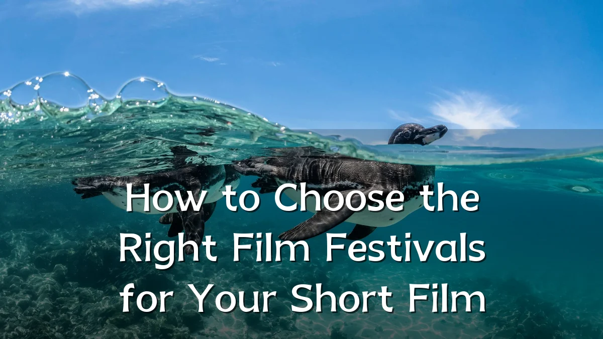 How to Choose the Right Film Festivals for Your Short Film