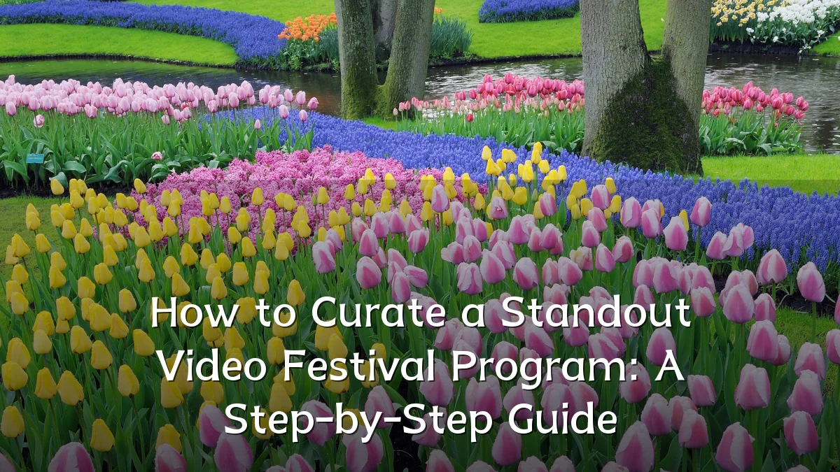 How to Curate a Standout Video Festival Program: A Step-by-Step Guide
