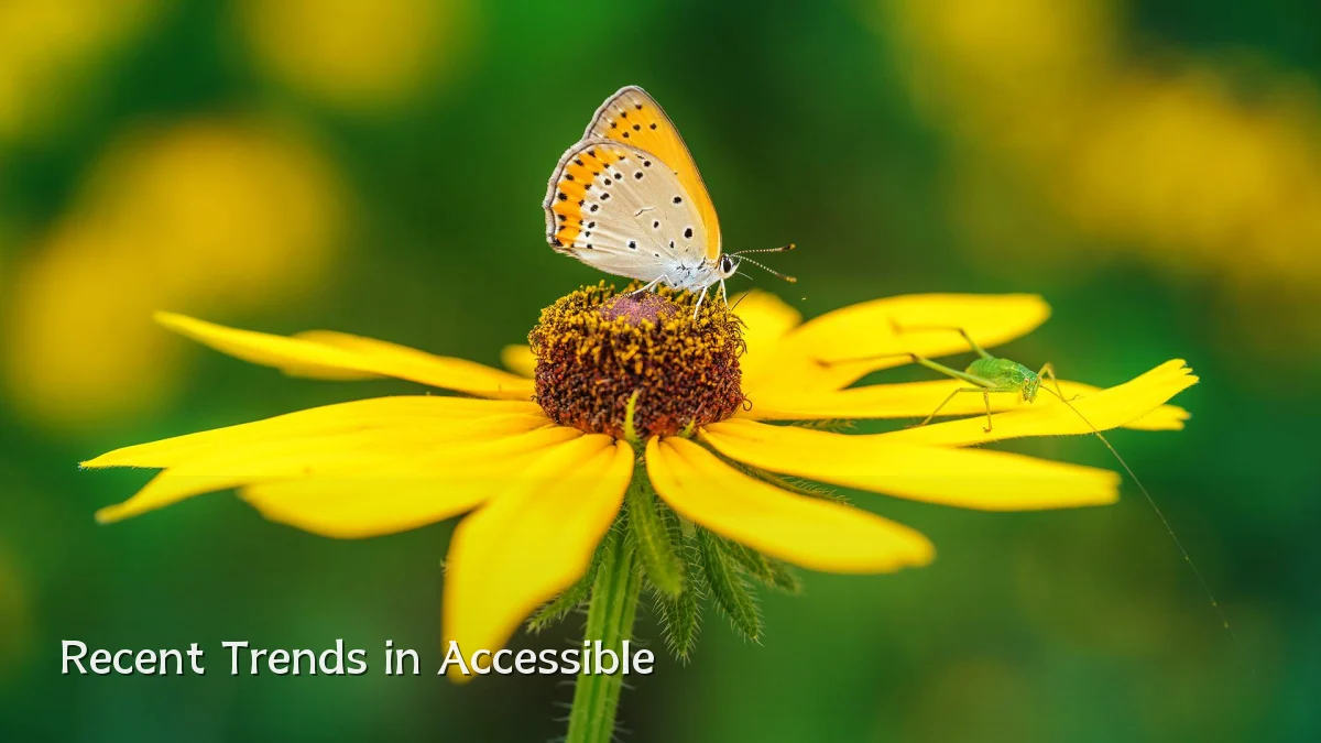 Recent Trends in Accessible