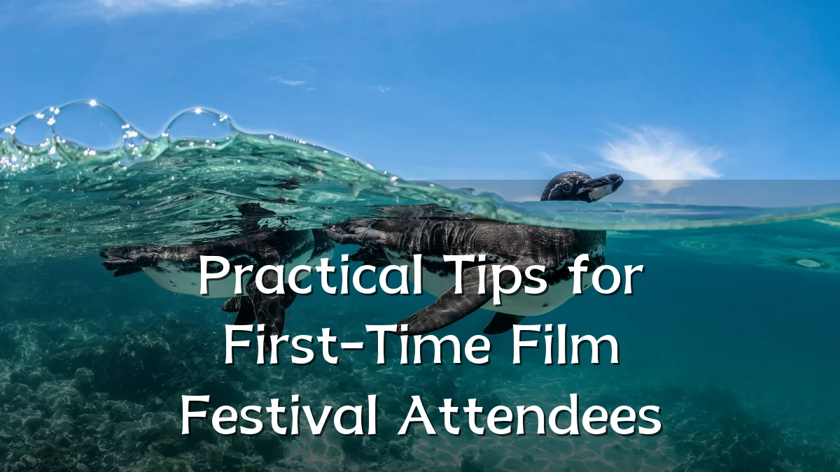Practical Tips for First-Time Film Festival Attendees