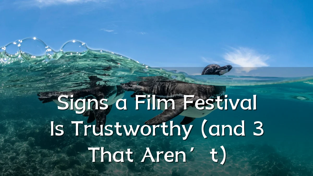 Signs a Film Festival Is Trustworthy (and 3 That Aren’t)
