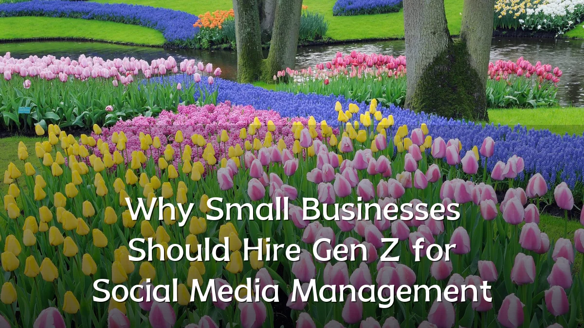 Why Small Businesses Should Hire Gen Z for Social Media Management