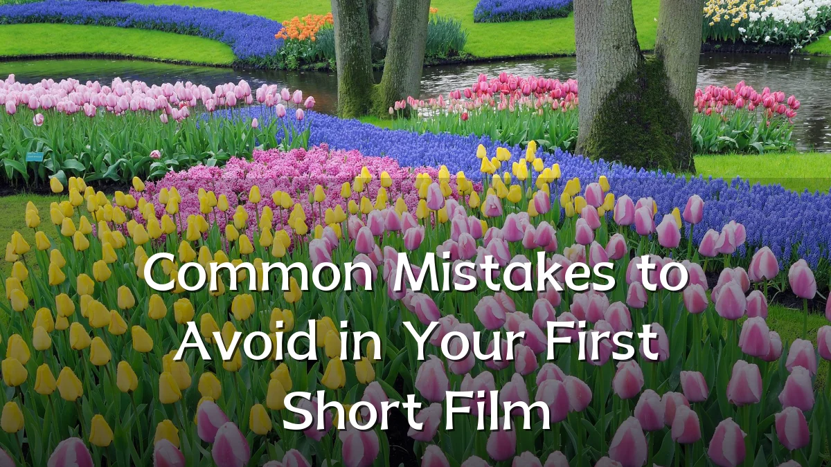 Common Mistakes to Avoid in Your First Short Film