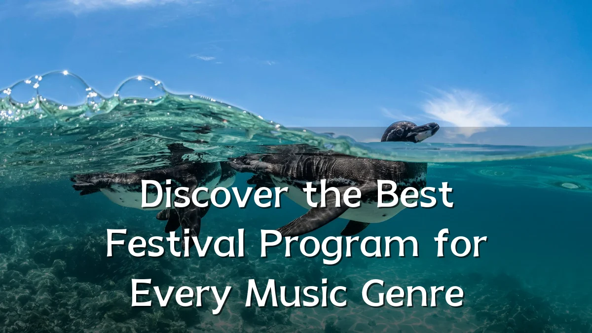 Discover the Best Festival Program for Every Music Genre