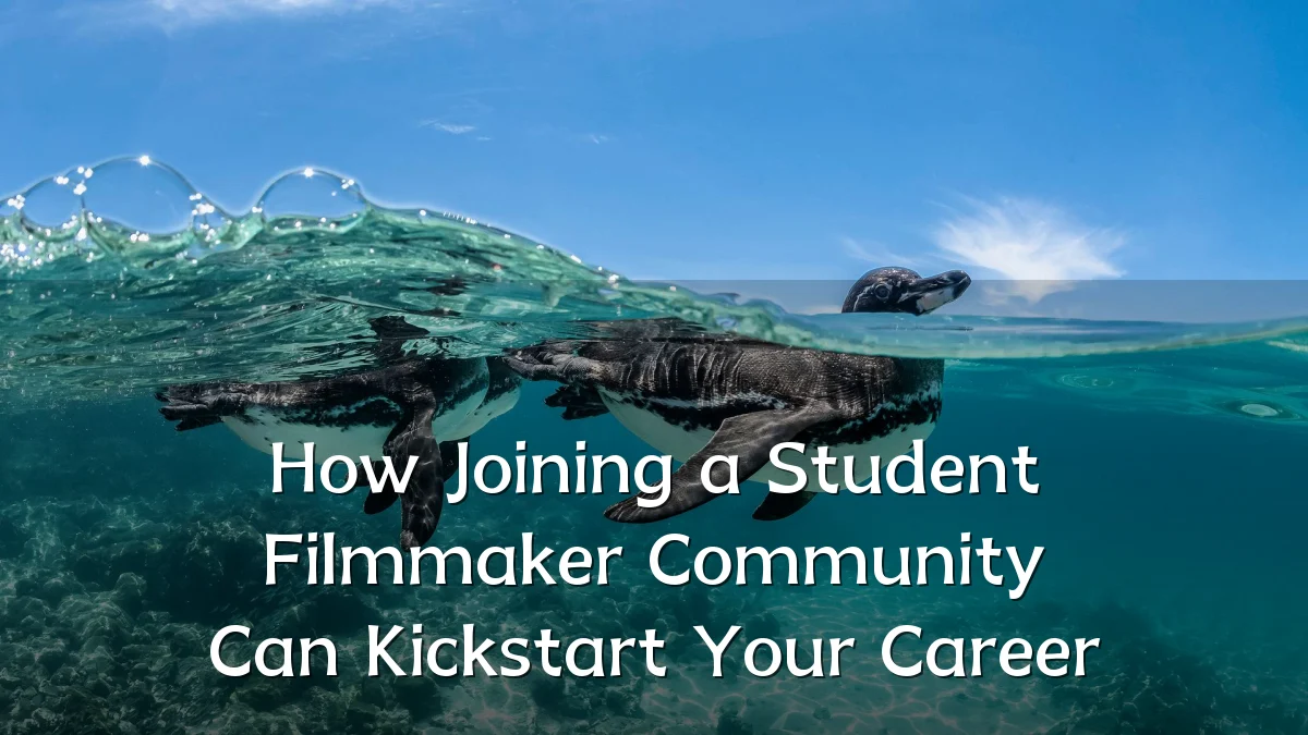 How Joining a Student Filmmaker Community Can Kickstart Your Career
