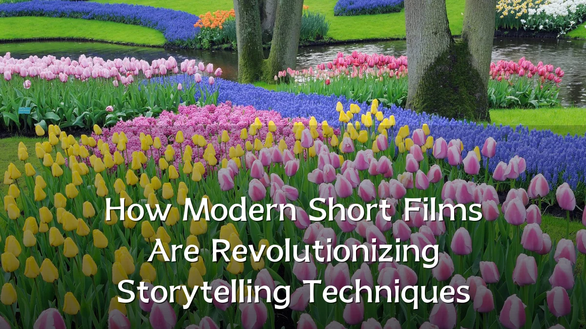 How Modern Short Films Are Revolutionizing Storytelling Techniques