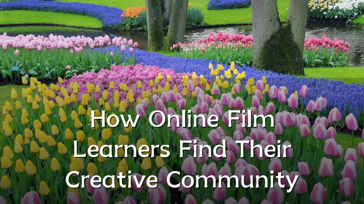 How Online Film Learners Find Their Creative Community