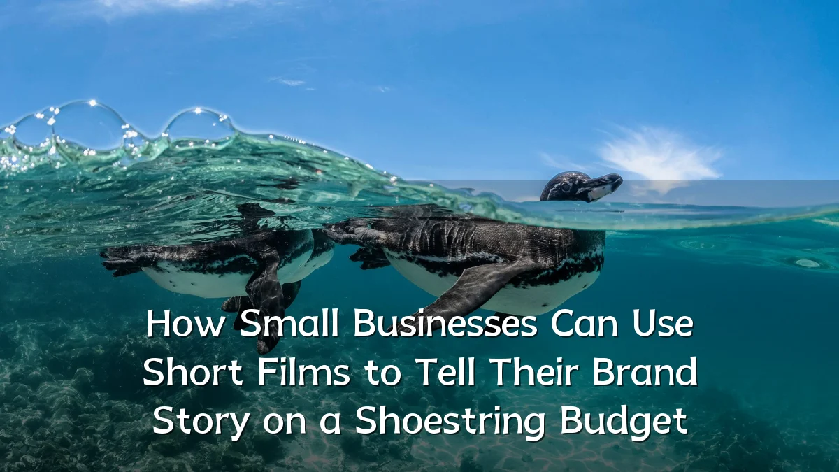 How Small Businesses Can Use Short Films to Tell Their Brand Story on a Shoestring Budget