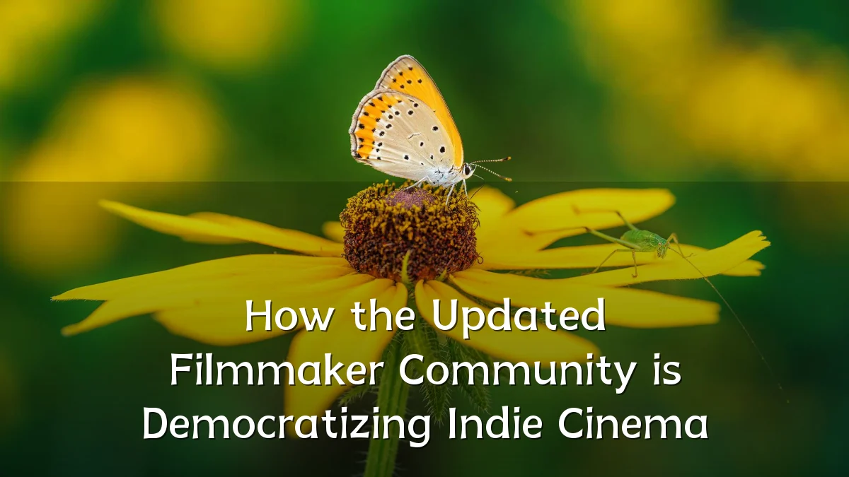 How the Updated Filmmaker Community is Democratizing Indie Cinema