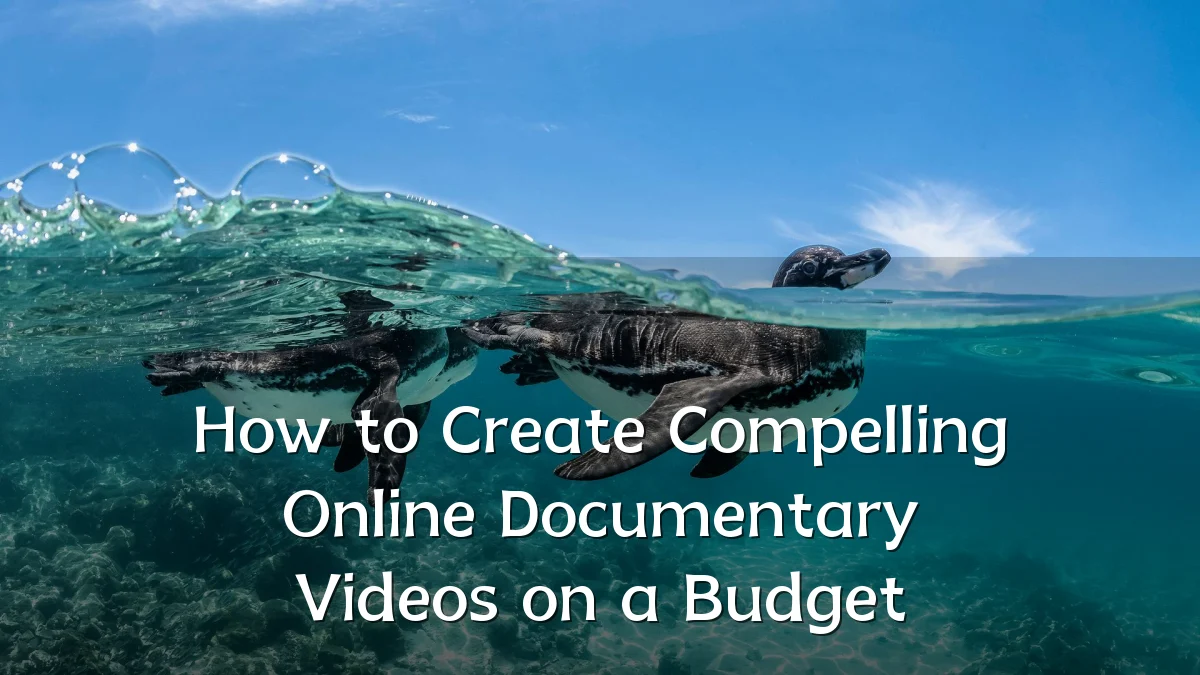 How to Create Compelling Online Documentary Videos on a Budget