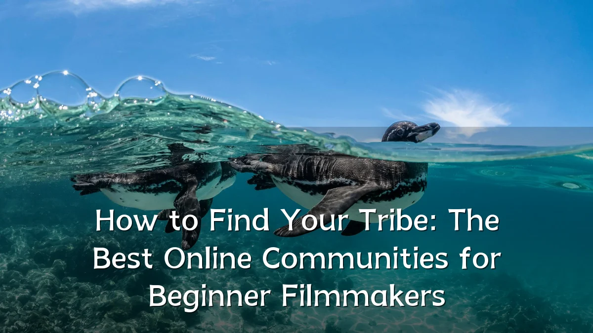 How to Find Your Tribe: The Best Online Communities for Beginner Filmmakers