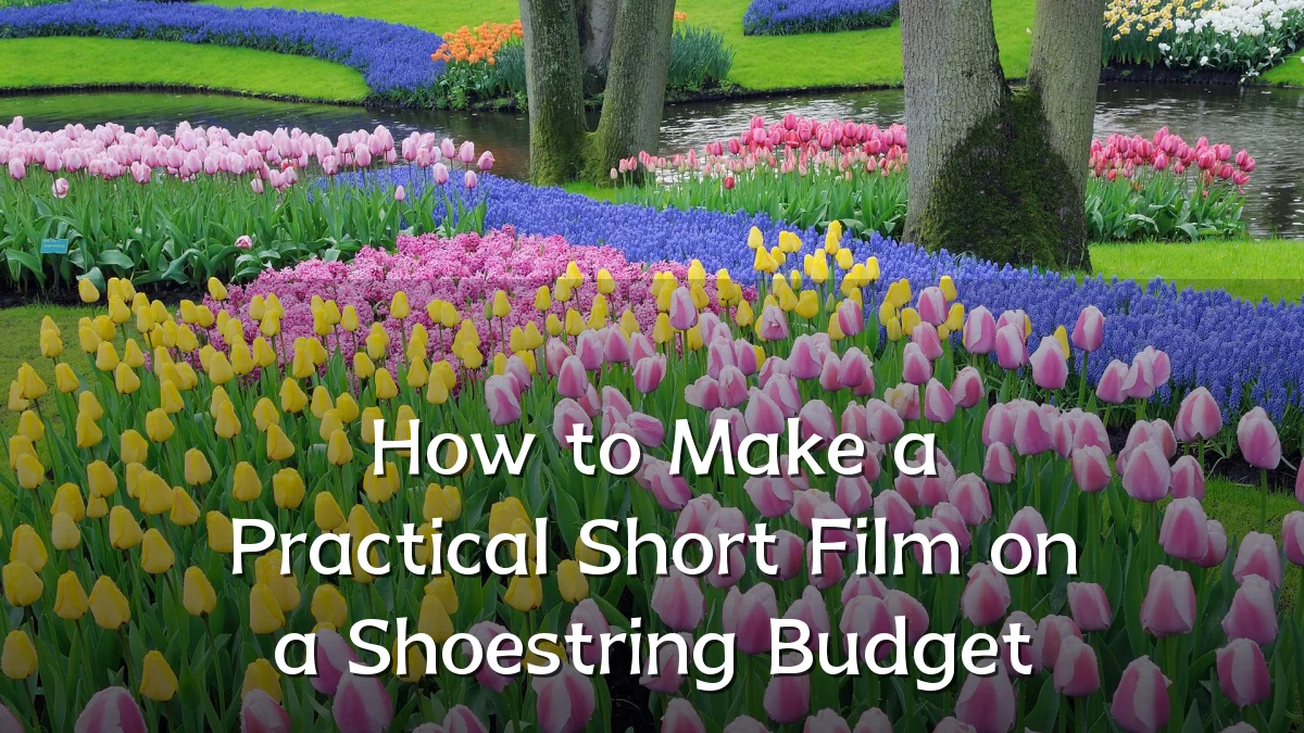 How to Make a Practical Short Film on a Shoestring Budget