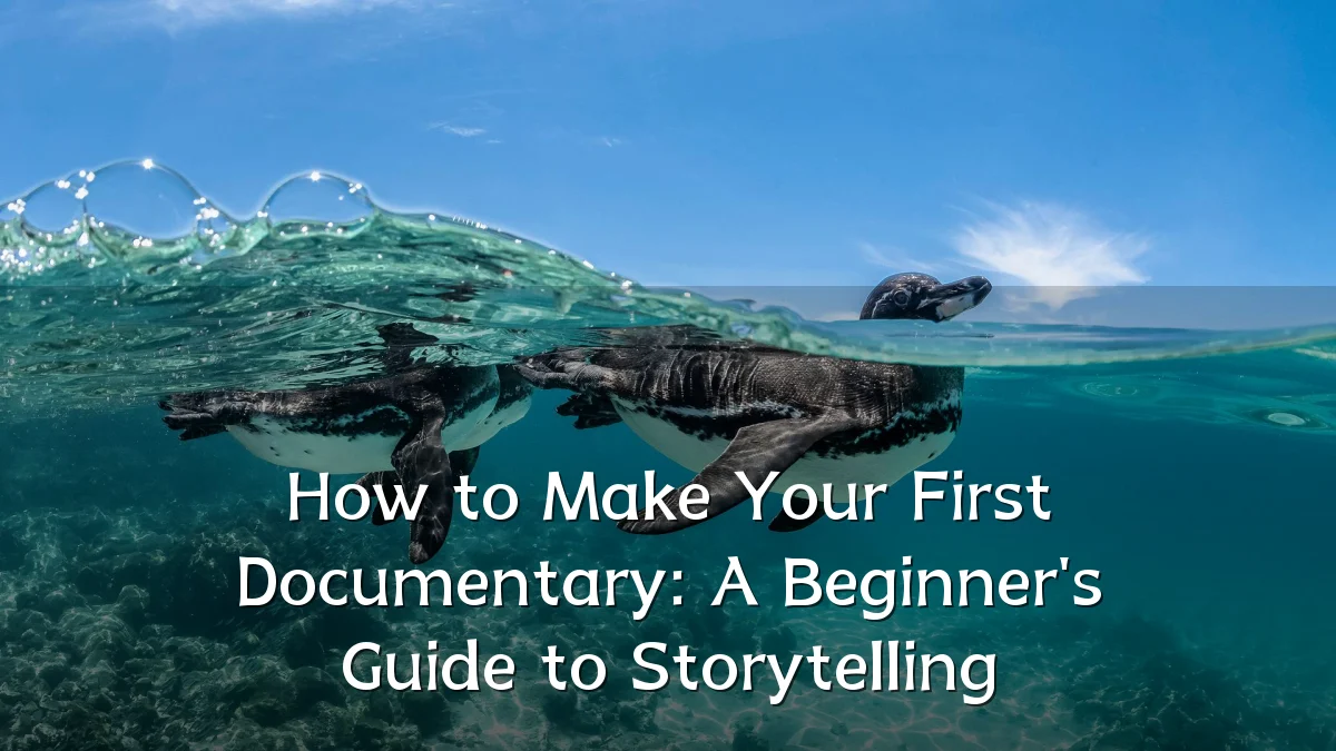 How to Make Your First Documentary: A Beginner's Guide to Storytelling