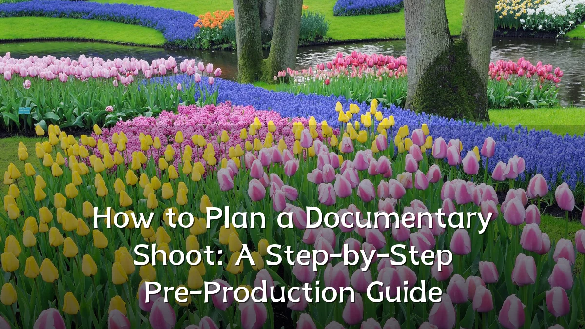How to Plan a Documentary Shoot: A Step-by-Step Pre-Production Guide