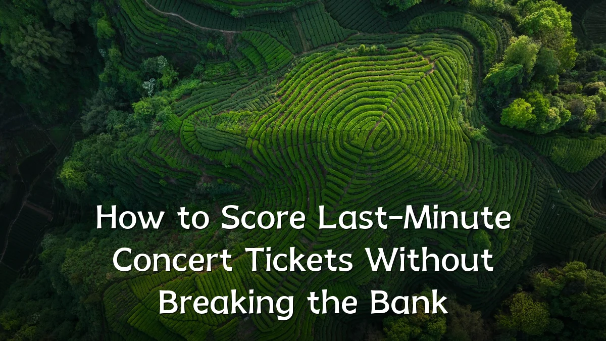 How to Score Last-Minute Concert Tickets Without Breaking the Bank