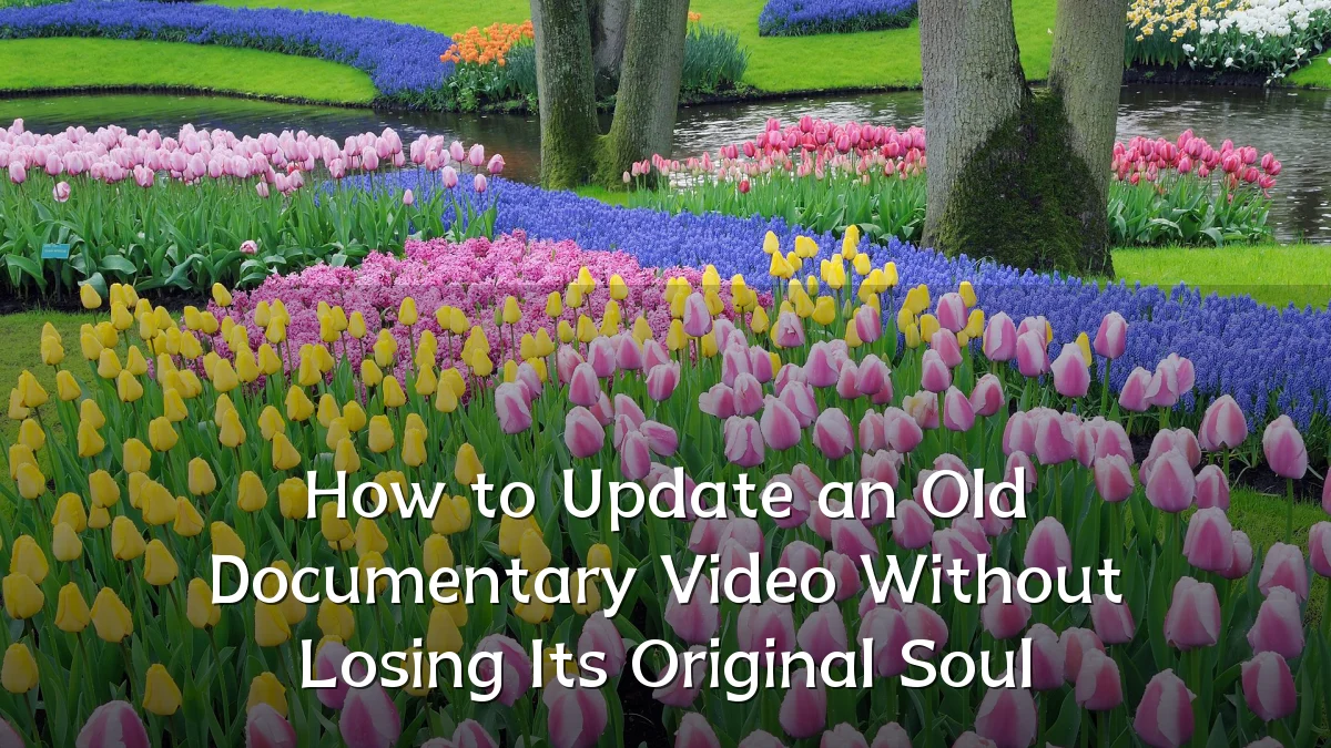 How to Update an Old Documentary Video Without Losing Its Original Soul