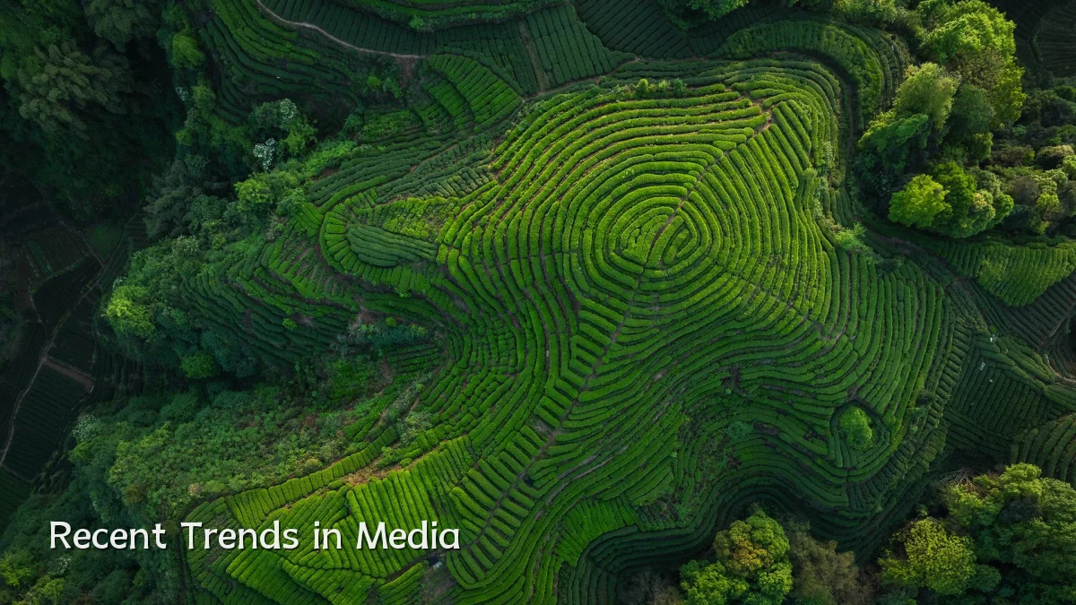 Recent Trends in Media