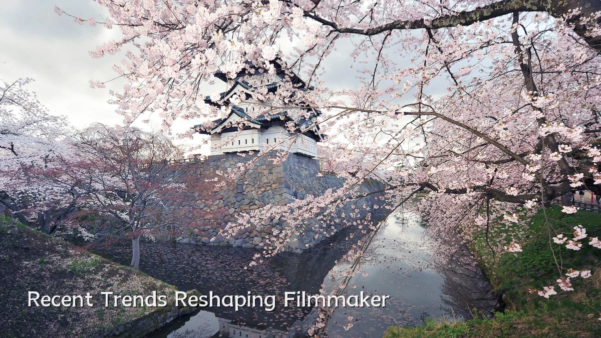 Recent Trends Reshaping Filmmaker