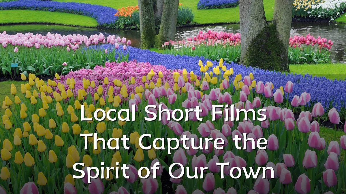 Local Short Films That Capture the Spirit of Our Town