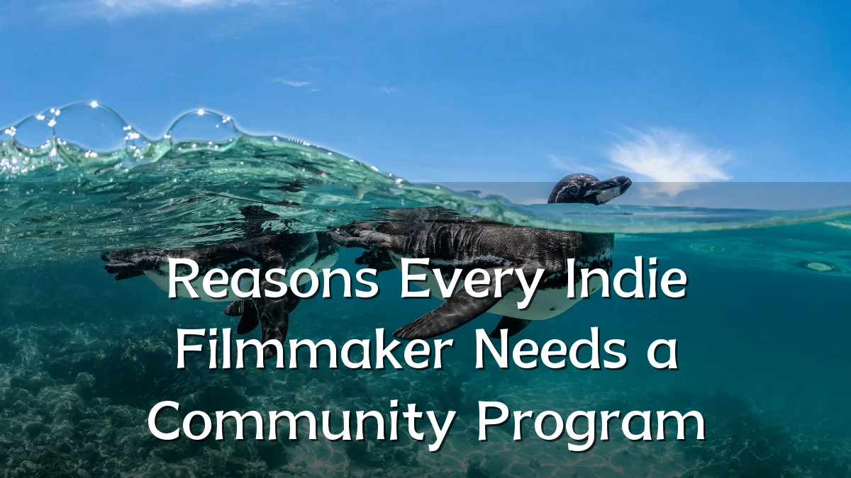 Reasons Every Indie Filmmaker Needs a Community Program
