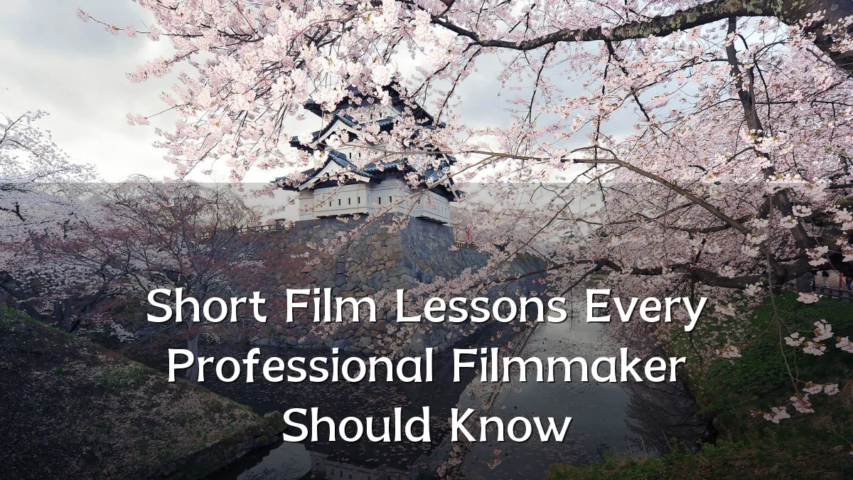 Short Film Lessons Every Professional Filmmaker Should Know