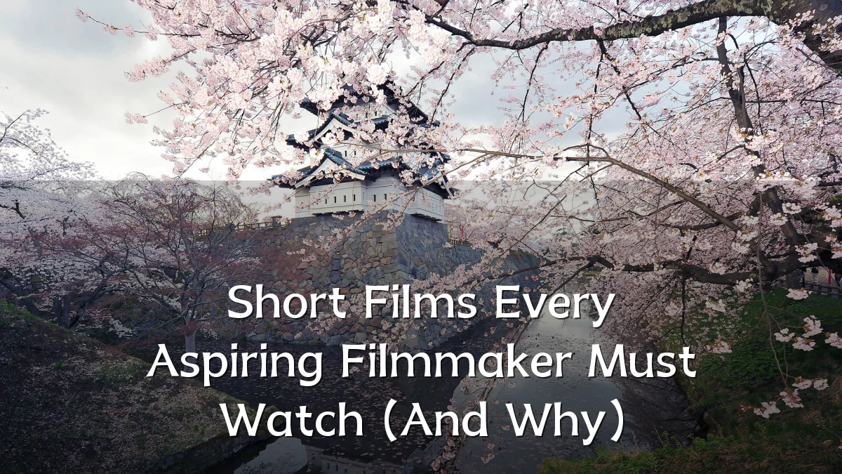 Short Films Every Aspiring Filmmaker Must Watch (And Why)