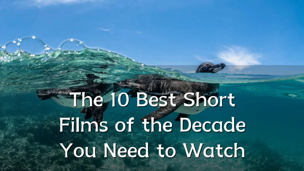 The 10 Best Short Films of the Decade You Need to Watch