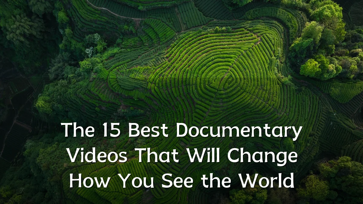The 15 Best Documentary Videos That Will Change How You See the World