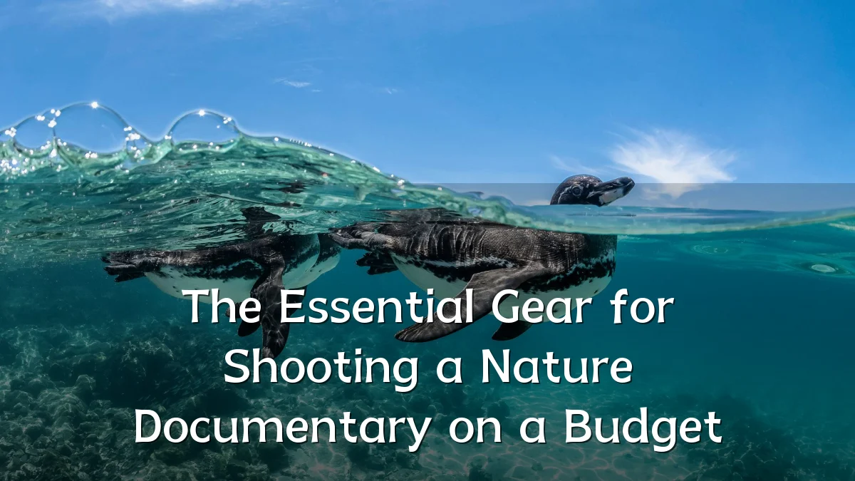 The Essential Gear for Shooting a Nature Documentary on a Budget
