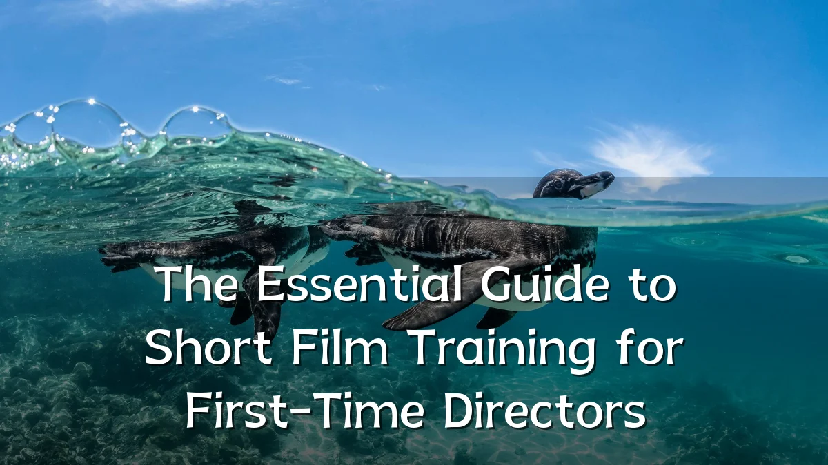 The Essential Guide to Short Film Training for First-Time Directors