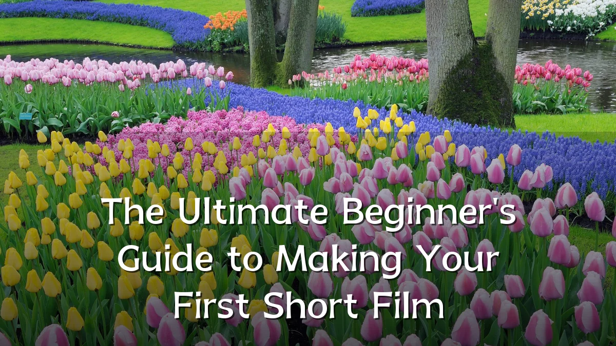 The Ultimate Beginner's Guide to Making Your First Short Film