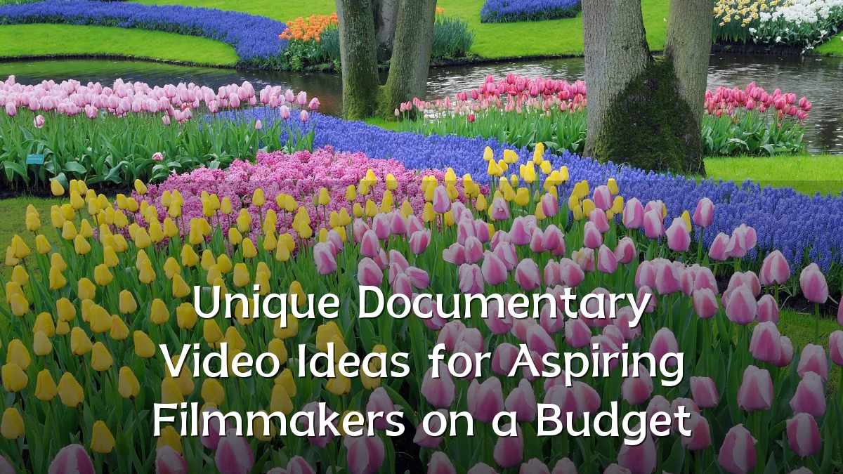 Unique Documentary Video Ideas for Aspiring Filmmakers on a Budget