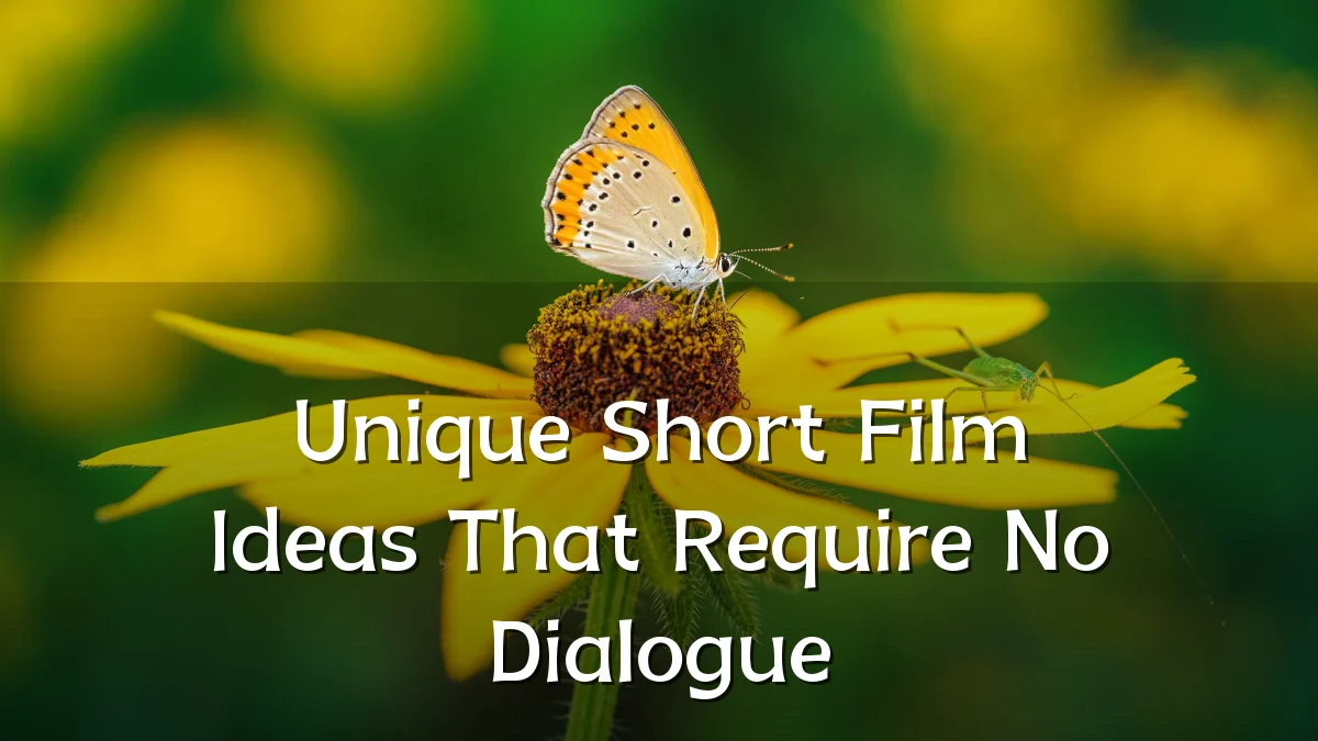 Unique Short Film Ideas That Require No Dialogue