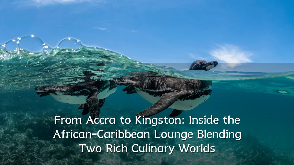 From Accra to Kingston: Inside the African-Caribbean Lounge Blending Two Rich Culinary Worlds